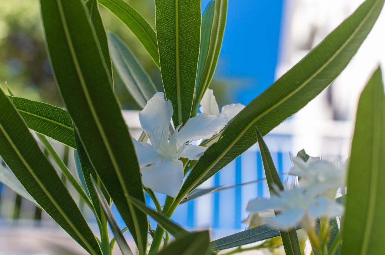 Amila Appartement Crikvenica Buitenkant foto